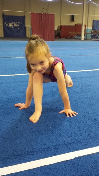Gymnastics Peformance