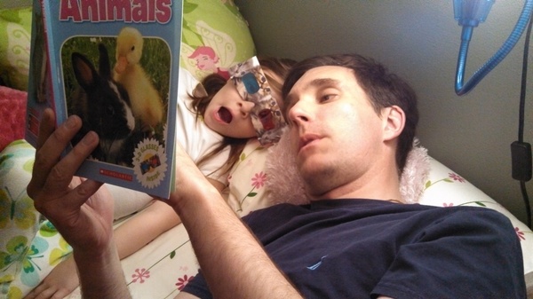 3D Animals