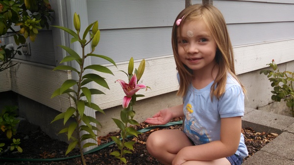 Lily and a Lily