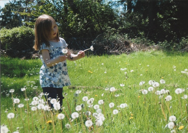 Dandelion Girl