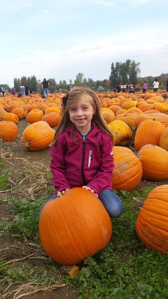 Lily's Pumpkin
