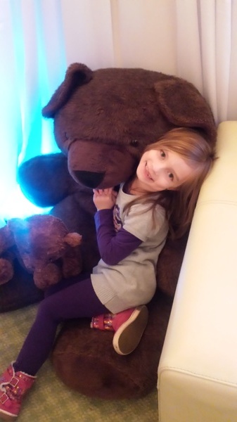 Teddy Bear Suite