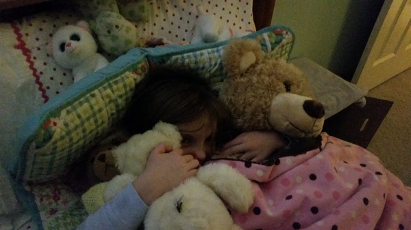 Bed Bears