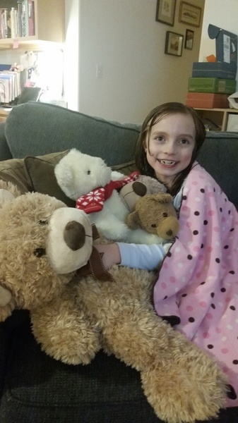 Bear Collection