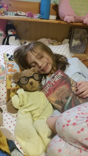 Beary Potter