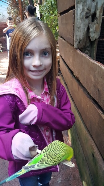 Woodland Park Zoo
