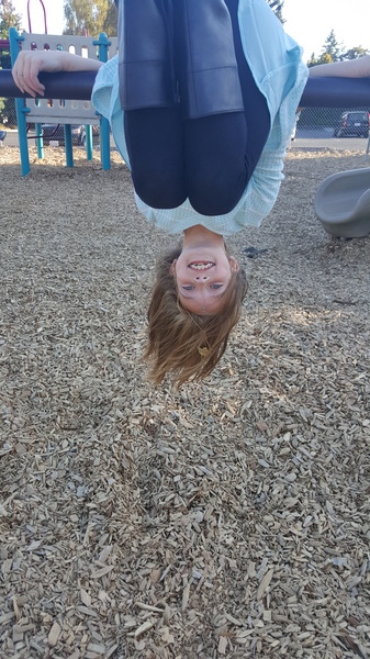 Silly Lily