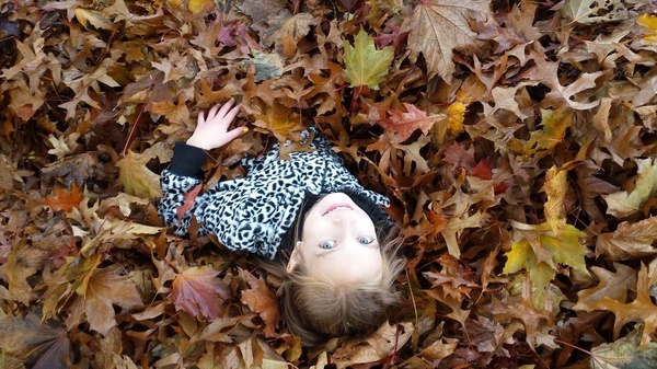 Leaf Pile