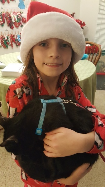 Christmas Kitty