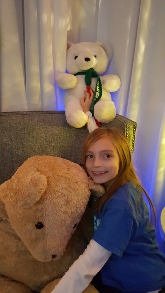 Teddy Bear Suite