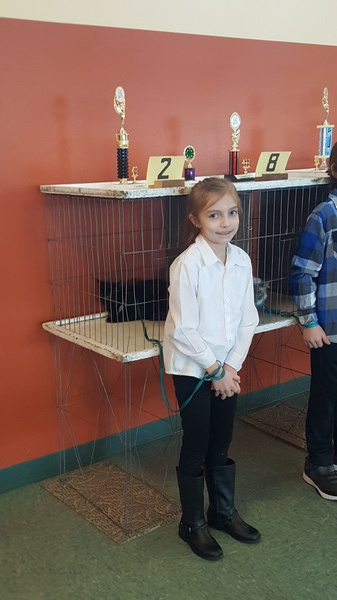 4-H Fitting and Showing