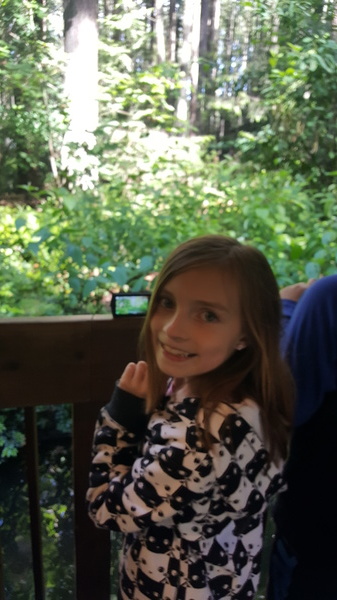 Field Trip to Northwest Trek