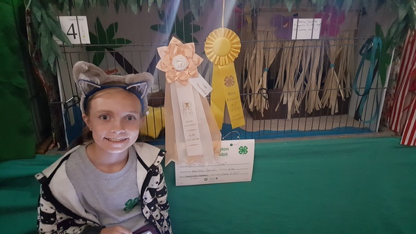 4-H Ribbons