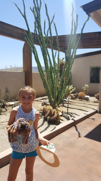 Joshua Tree National Park