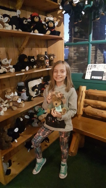 Lots of Bears