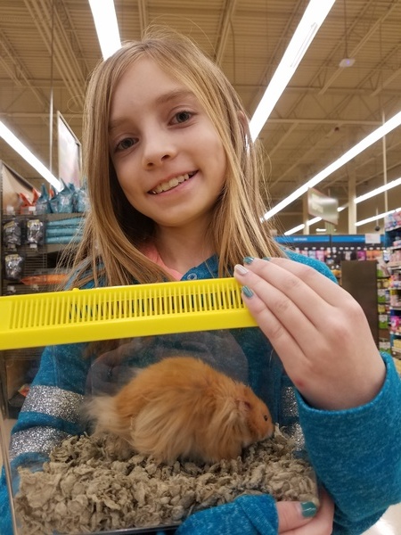 New Hamster