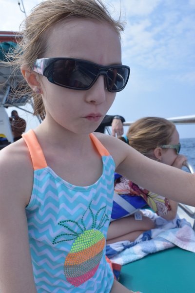 Dolphin Cruise