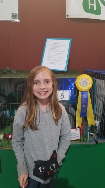 4-H at King County Fair