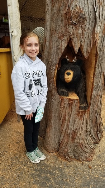 Wood Bear