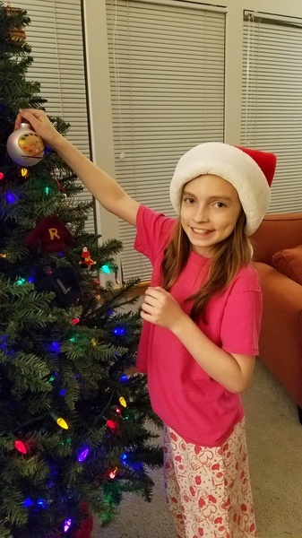 Hanging Ornaments
