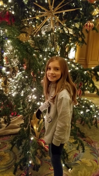 Fairmont Olympic Christmas Tree