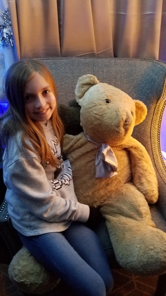 Teddy Bear Suite