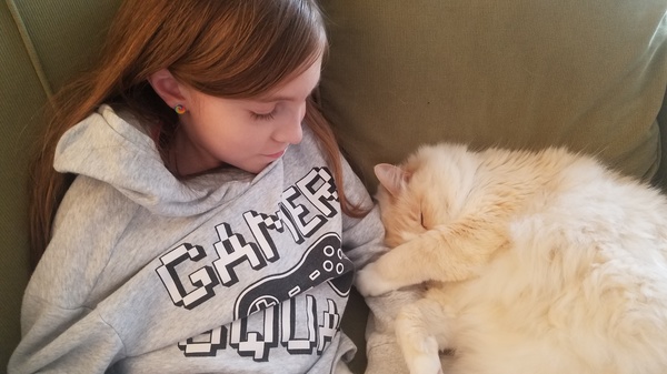 Cat Buddy