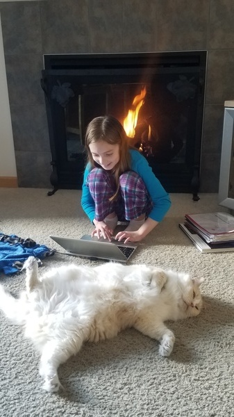 Cat Distract
