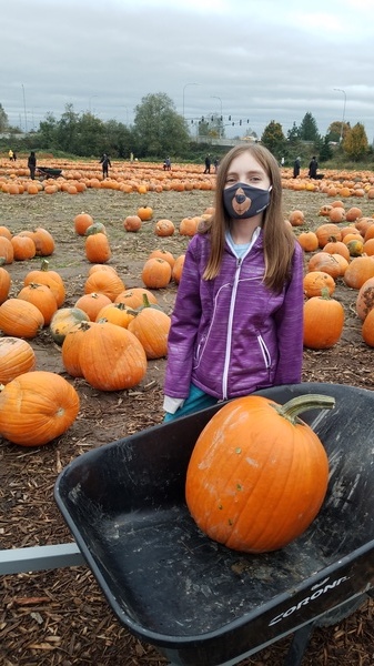 Lily's Pumpkin