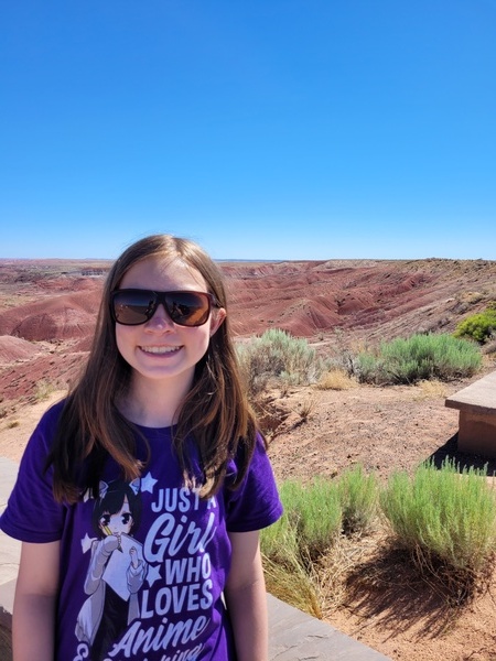 Petrified Forest National Park