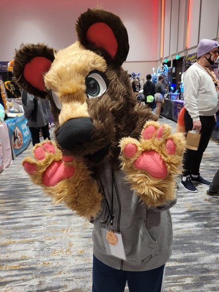 Bear Costume