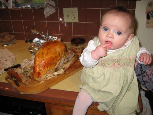 Little Turkey