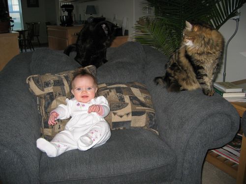 Fuzzy Friends