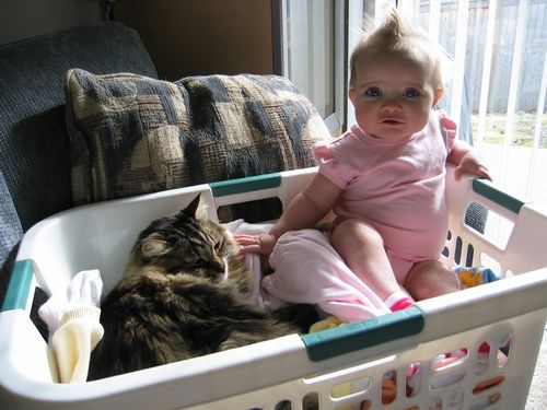 Helping Captain with the Laundry