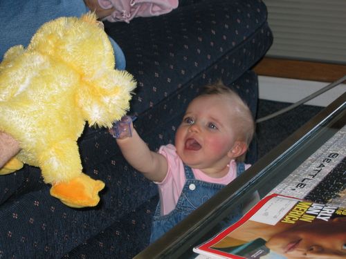 Duck Attack
