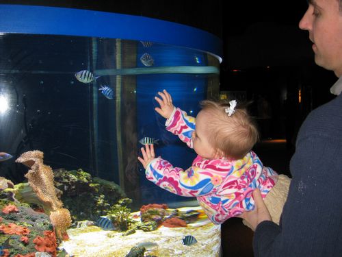 Chasing the Fishies