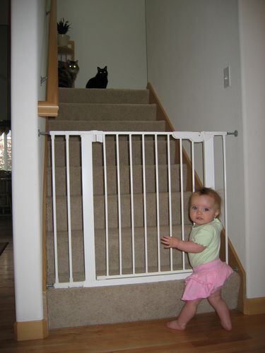 Who's on which side of the cage?