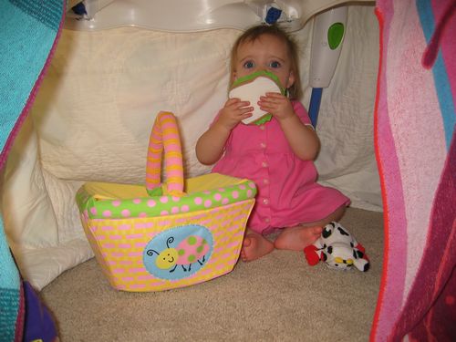 Picnic in Her Tent