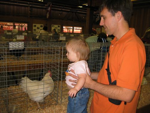 Playing Chicken at the Puyallup Fair