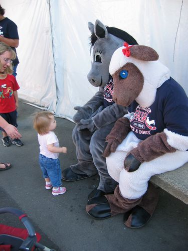 Greeting Animals at the Puyallup Fair