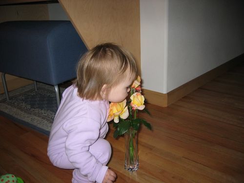 Taking Time to Smell the Roses
