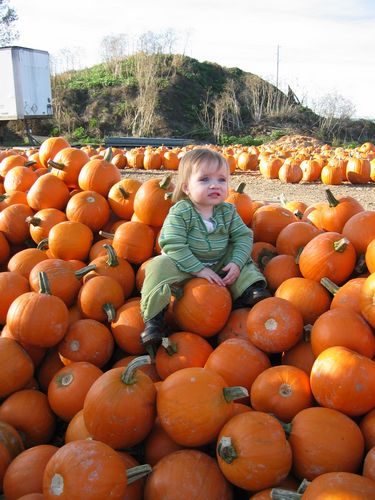 Little Pumpkins