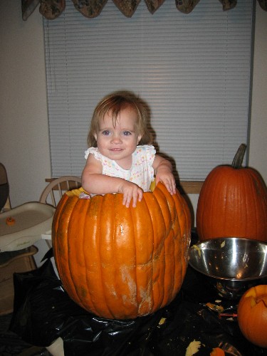 Pumpkin Playpen
