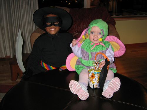 Zorro and the Butterfly