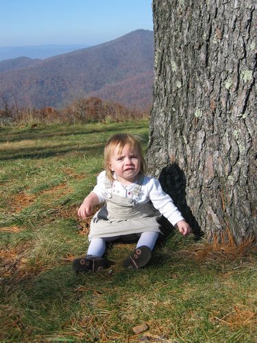 Shenandoah National Park