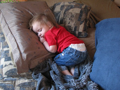 Sleeping Cutie