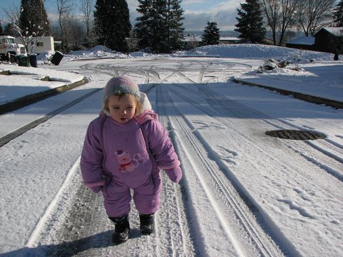 Arctic Trekker