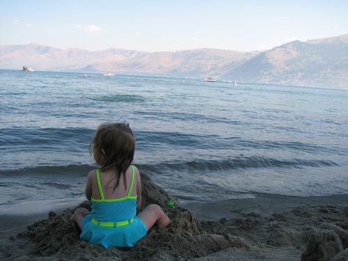 Chelan Beach