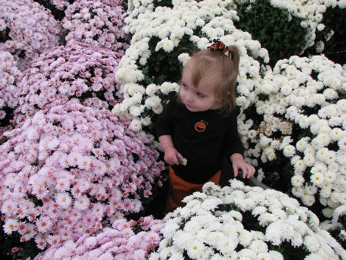 Flower Child