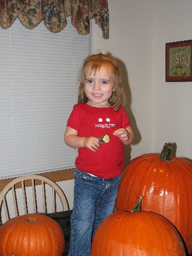 Ready to Carve